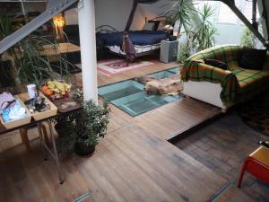 根特Artistic loft apartment with big sun terrace的享有带玻璃地板的客厅的景色