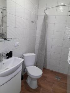 卢托维斯卡Sowinka的白色的浴室设有卫生间和水槽。