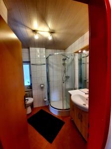 LatschachChalet Dobratsch的带淋浴和盥洗盆的浴室