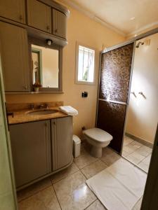 本图贡萨尔维斯Pousada Tedesco的浴室配有卫生间、盥洗盆和淋浴。