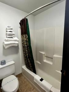 水牛比尔鹿角酒店的一间浴室