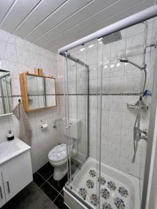 施奥弗灵Apartment 3 Gäste的带淋浴、卫生间和盥洗盆的浴室