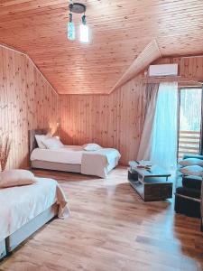 谢赫维蒂利Keriya Hotel Shekvetili Kaprovani的一间卧室配有两张床和一张沙发。