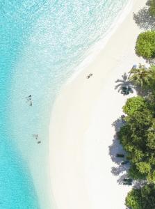 芭环礁Royal Island Resort at Baa Atoll Biosphere Reserve的海滩上的人的空中景色