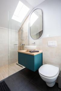 萨图马雷Olimpia Residence District Satu Mare的一间带卫生间、水槽和镜子的浴室