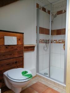 德累斯顿Ferienwohnung Villa Claudia的一间带卫生间和淋浴的浴室