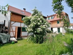 德累斯顿Ferienwohnung Villa Claudia的院子里有花树的房子