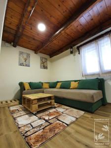 迪瓦伊巴雷Planinska kuća Čudesni bor的客厅配有绿色沙发和桌子