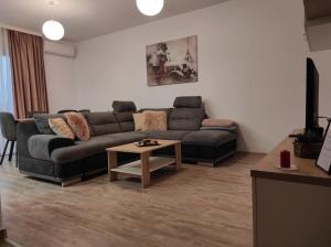 蒂米什瓦拉Armony Apartament Timisoara的客厅配有沙发和桌子