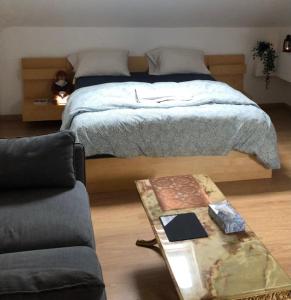 沙勒罗瓦FERTILE的一间卧室配有一张床和一张茶几