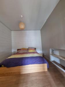 圣马洛Le Prevet的一间小房间的卧室,配有一张床铺