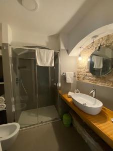 科拉托Altrelli B&B的一间带水槽和淋浴的浴室