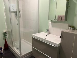 谢菲尔德Sheffield City Centre , free Wifi & Parking - Private Room - Shared House的一间带水槽和淋浴的浴室