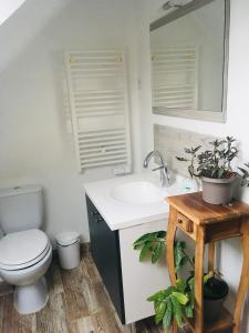 勒波诺Maison LE BONO KERBISOUNOURS的一间带卫生间、水槽和镜子的浴室