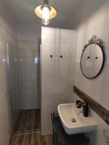 波尔托罗Apartma Pinea的带淋浴、盥洗盆和镜子的浴室