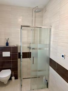 RovinkaModern 2 bed house near Bratislava with parking的浴室设有玻璃淋浴间和卫生间