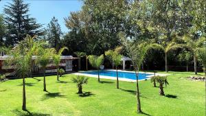 维斯塔尔巴Lemon Tree Hostel的一个带游泳池和棕榈树的庭院