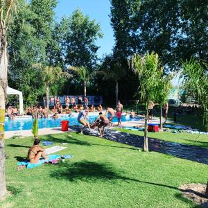 维斯塔尔巴Lemon Tree Hostel的一群人在游泳池玩耍