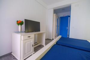 茹里洛夫卡Pensiunea Dolosman的一间配有电视和蓝色地毯的客厅