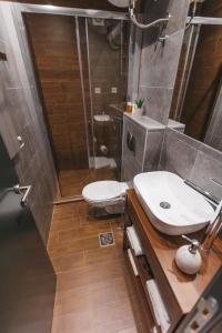 尼什City Centar House的浴室配有卫生间、盥洗盆和淋浴。