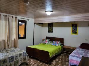 下博克特CreaDora的一间卧室配有两张床和绿床罩