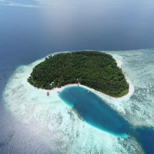 Pulau BirieWai Resort - Raja Ampat的海中的一个绿松石海水岛