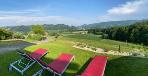 ArnfelsGasthof zum Moosmann - Familie Pachernigg的两把红色椅子坐在绿色田野的顶部