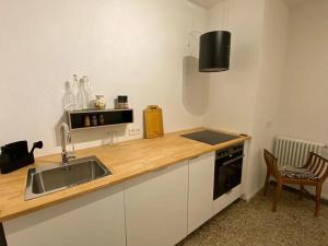 罗拉赫annadaly Stadtraumwohnung的厨房配有水槽和台面