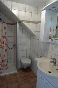 霍恩斯泰因Ferienwohnung Schlesinger的浴室配有卫生间、盥洗盆和淋浴。