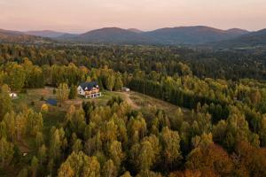 韦特利纳Pod Wielką Zalesioną Górą的森林中间房屋的空中景观