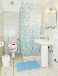 波罗斯ARISTON APARTMENTS的浴室配有卫生间、盥洗盆和淋浴。