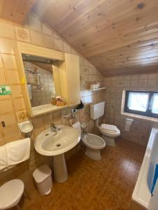 塞尔瓦迪卡多雷Garni al Barance的浴室设有2个卫生间、水槽和镜子