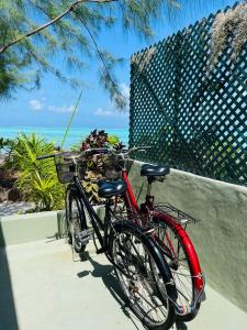在Matira Beach Bungalow Waterfront内部或周边骑自行车