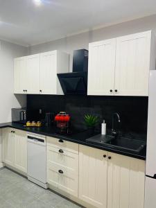 Apartament Odpoczynek的厨房或小厨房