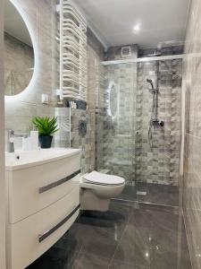 下乌斯奇基Apartament Odpoczynek的带淋浴、卫生间和盥洗盆的浴室