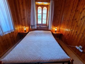 卡洛帕尼亚伊奥蒂斯Elpiniki's Old House的一间卧室配有一张带两个台灯的床,