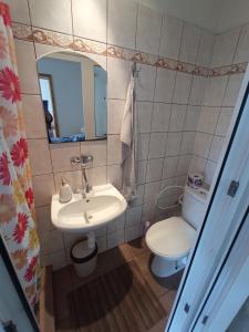 赫拉布斯Agro privat的一间带水槽、卫生间和镜子的浴室
