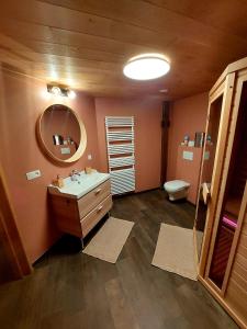 马尔梅迪Le Clos Vert的一间带水槽、卫生间和镜子的浴室