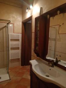 巴贝里诺·迪·穆杰罗Antica dimora的一间带水槽、镜子和淋浴的浴室