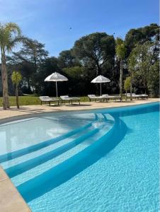 奥尼萨诺Villa Di Noi的一个带长椅和遮阳伞的蓝色游泳池