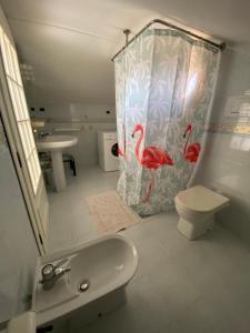 阿祖罗港Casa Antonella的一间带卫生间和淋浴帘的浴室