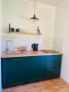 帕卢舍Lūšių vėjas的厨房配有蓝色橱柜和水槽
