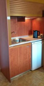 乐托卡亚Hotel Akti的厨房配有水槽和微波炉