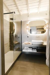 圣马迪拉莫Hôtel Restaurant Les Arnelles的带淋浴和盥洗盆的浴室