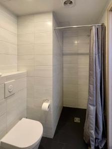 派尔努Aisa Studio的一间带卫生间和淋浴的浴室