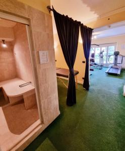 拉帕洛Hotel Canali, Portofino Coast的客房设有带淋浴的浴室和绿色地毯。