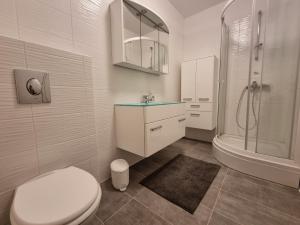 斯塔拉诺瓦利亚BELLEVUE - Old Navalis的浴室配有卫生间、盥洗盆和淋浴。
