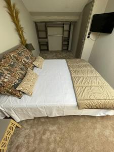绍莱La Canopée的一间卧室配有一张大床和枕头