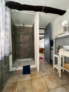 埃施韦格维洛别墅旅馆的带淋浴和盥洗盆的浴室
