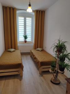 普什奇纳Apartament przy Zamku的客房设有两张床和窗户。